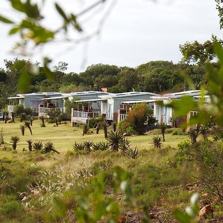 Stoneyvale Cottages Grahamstown Exteriér fotografie