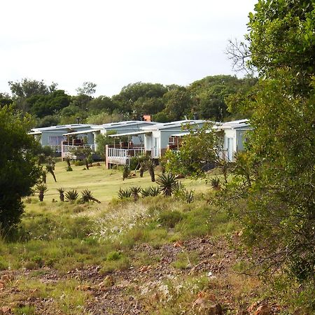 Stoneyvale Cottages Grahamstown Exteriér fotografie