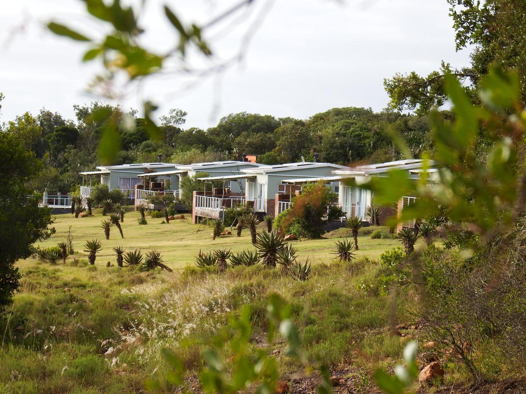 Stoneyvale Cottages Grahamstown Exteriér fotografie